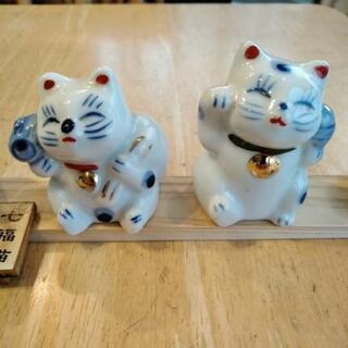 七福猫　可愛い❤️の画像