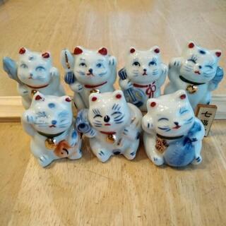 七福猫　可愛い❤️