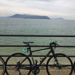 bianchi roma3 disc 2019 付属品多数