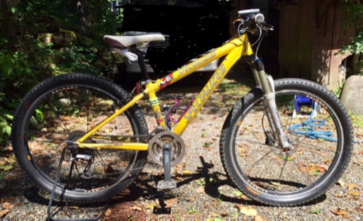 スペシャライズド Sワークス ハードテイル