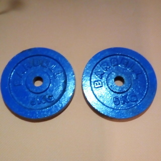 トレーニング用　バーベル5㎏×２　3000円(1500円×２） 