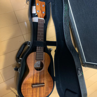 KAMAKA HF-2の画像