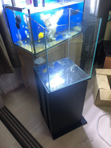 ※上部フィルターセット　コトブキレグラス　水槽セット