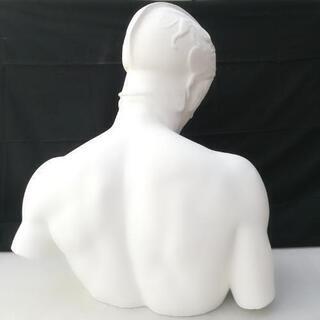 石膏像 マルス 胸像 デッサン 美大受験の画像