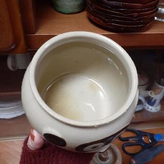 【たぬき】【壺】の画像