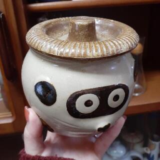 【たぬき】【壺】の画像