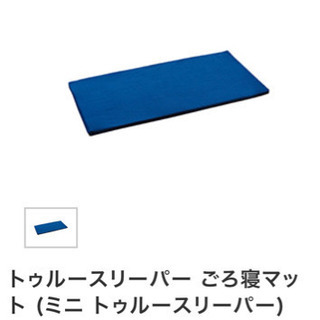 値下げしました！3000→2000【未開封】ミニトゥルースリーパ...