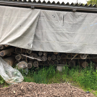 【再々値下げ】ログハウス用丸太　