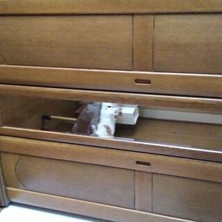 クローゼット　婚礼家具　取りに来て頂ける方にあげます。の画像