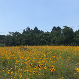 【山梨】【★zoomで気軽にトーク★】