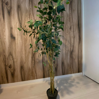 フェイクの観葉植物