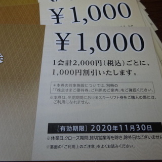 最新 西武ホールディングス 共通割引券 20枚　有効期限：2020年11月30日の画像