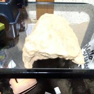 爬虫類用シェルターM