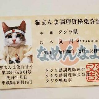 なめ猫の中古が安い！激安で譲ります・無料であげます｜ジモティー