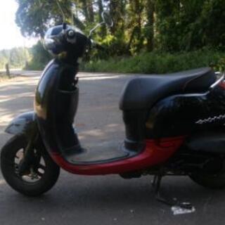 ホンダ　ジョルノ　多古町の画像