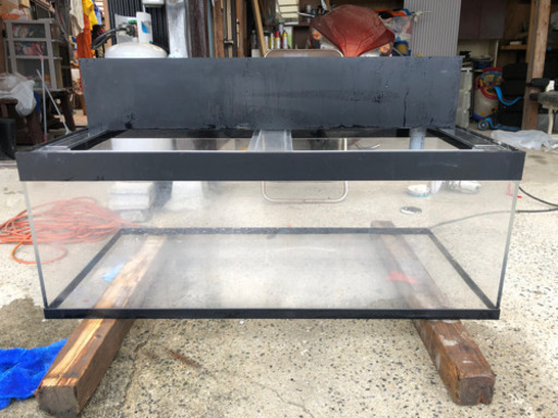 至急！水槽取りに来て頂ける方！