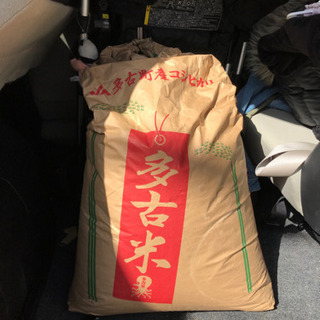 （取引者決定）タコ米コシヒカリ☆令和元年産