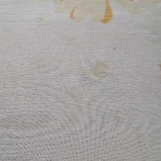 じゅうたんの画像