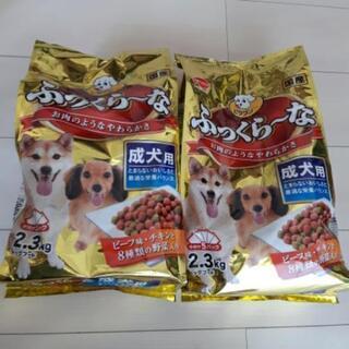 ペットフード　1袋と4パック