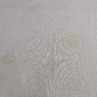 じゅうたんの画像