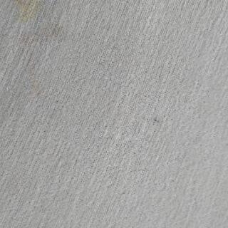 じゅうたんの画像