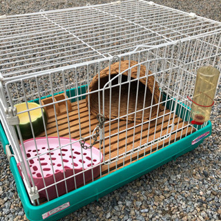 決まりました❗️ラビットケージ❗️