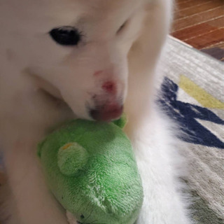 よろしくです❗️