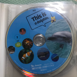 しまじろう 英語 DVDの画像