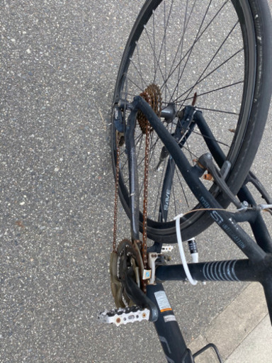 cannondale   