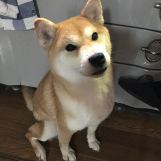 たくさんのお問い合わせありがとうございます！