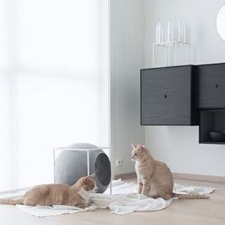 meyou キャットハウス