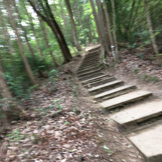 5月21日(木曜日)豊田王滝渓谷ぶらぶら散歩 - 豊田市