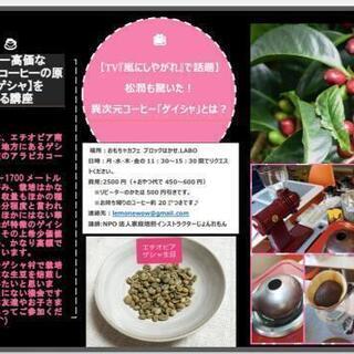 ゲイシャの原種『ゲシャ』を知る講座☕美味しいコーヒーの淹れ方伝授！