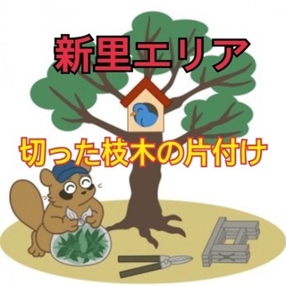 一般住宅の庭のお手入れ補助スタッフ！枝木の片付けなど