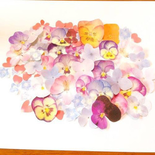 押し花🌼作りされてる方👏