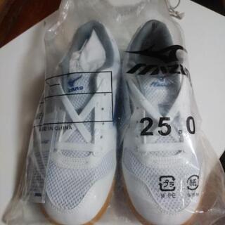 ⭐ラスト1点!!⭐新品 未使用⭐MIZUNOシューズ⭐の画像
