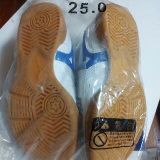 ⭐ラスト1点!!⭐新品 未使用⭐MIZUNOシューズ⭐の画像