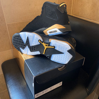 NIKE AIR JORDAN6 RETRO DMP(GS) 24センチの画像