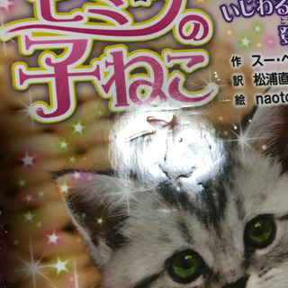 ヒミツの子ねこ6冊セット　良品の画像