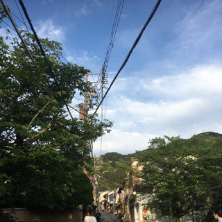 草むしりのボランティアさせてください^ ^の画像