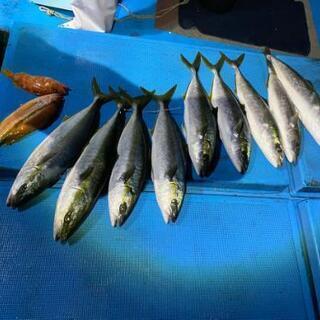 オフショア仲間募集🎣