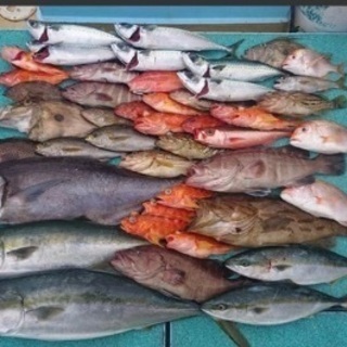 船釣り伊勢志摩SLJ タイラバ　海釣り