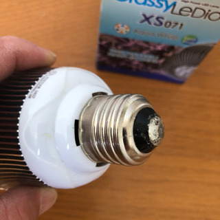 Grassy Ledio Aqua White XS071(AW  )LED LAMPの画像