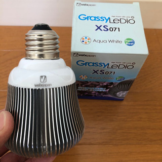 Grassy Ledio Aqua White XS071(AW  )LED LAMPの画像