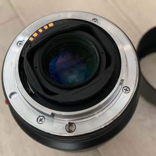 Minolta AF 75-300mm F4.5-5.6 の画像