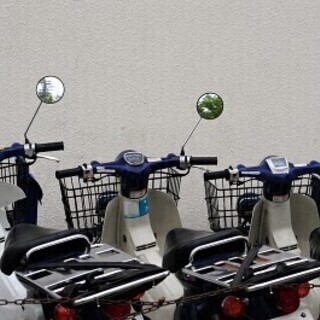 ◇未経験から活躍できます◇正社員として働きませんか? 中日新聞挙...