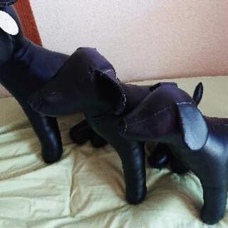 ドッグマヌカンの画像