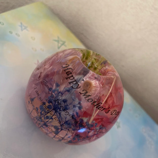 インアリウム講座の画像