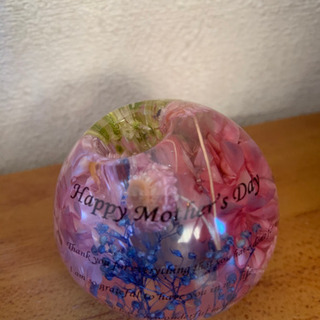 インアリウム作りの画像