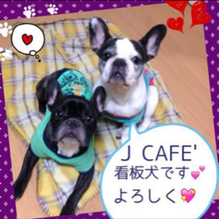 夜CAFEでバイトしませんか？の画像